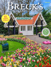 Breck's Flower Catalog