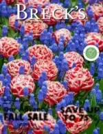 Breck's Flower Catalog