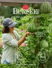 Burpee Gardening Catalog