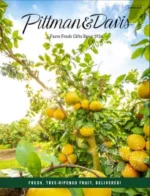 Pittman & Davis Catalog